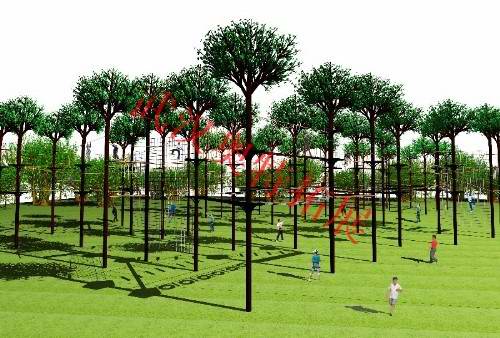 ɭ��̽����չ����ϵ��